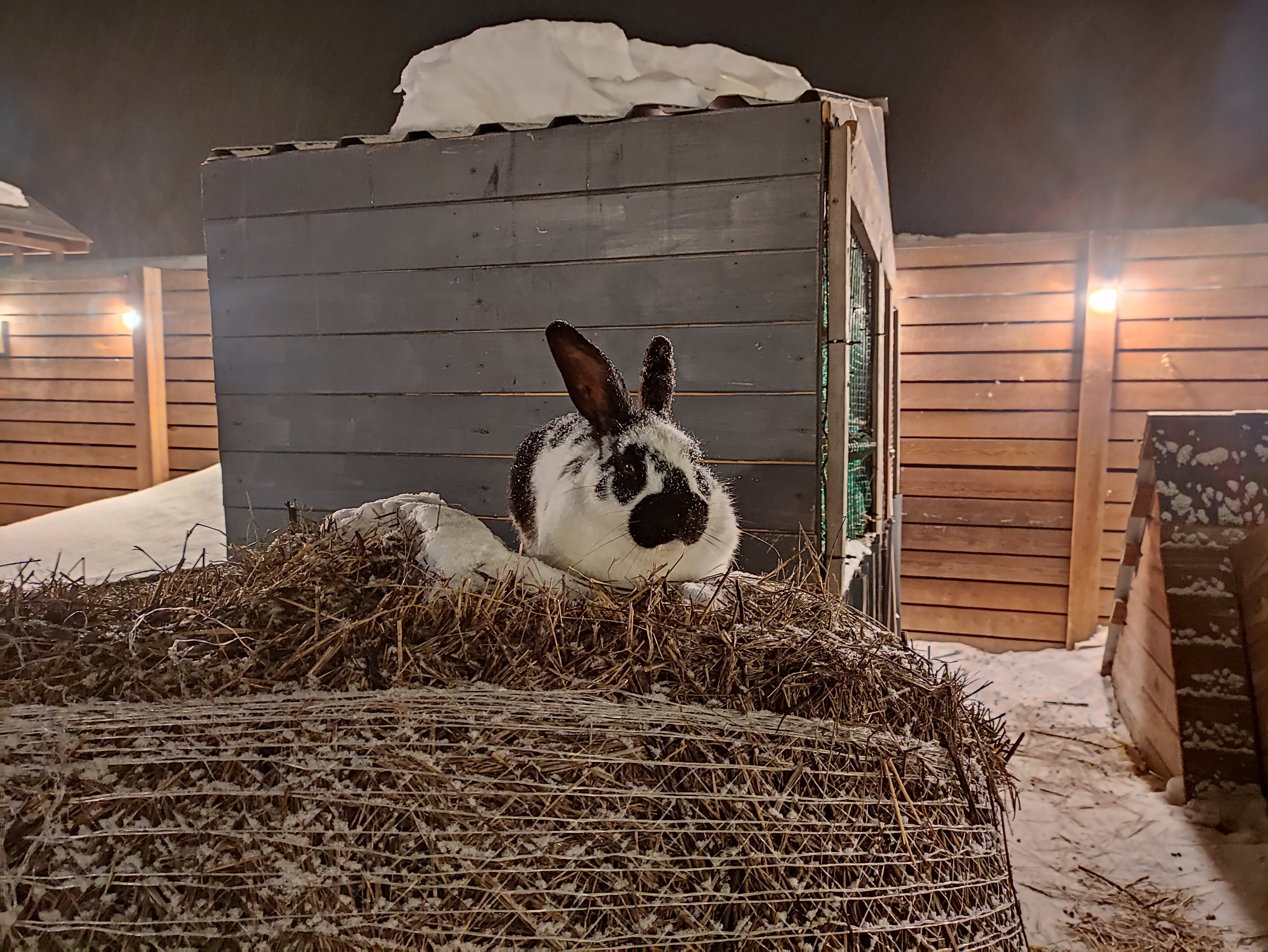 Фото Scandi Village