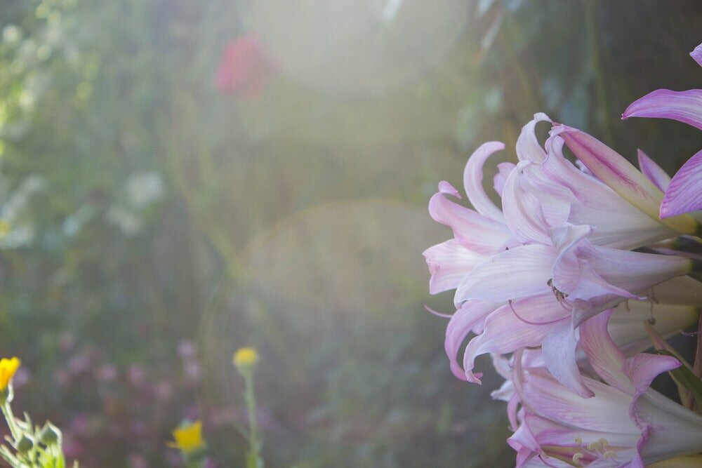 Фото Hotel Estoril Porto