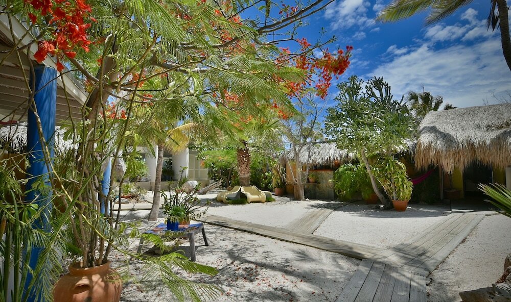 Фото Beach House Aruba