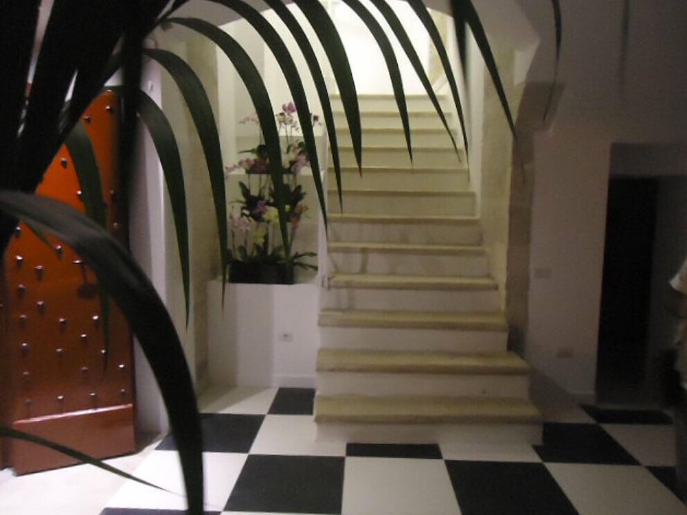 Фото Edificio 15 House Elite