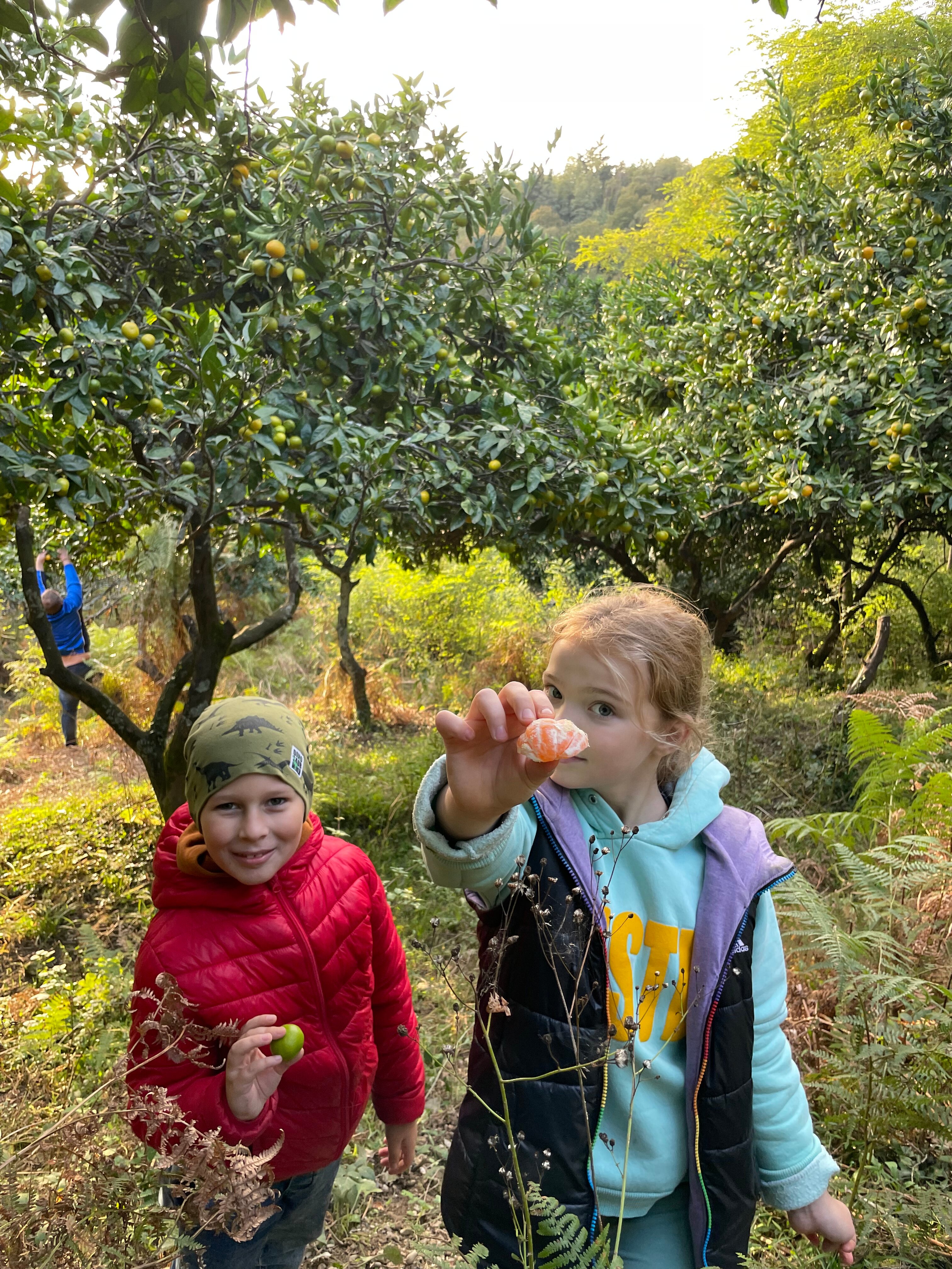 Фото Вилла Монте-Гагра