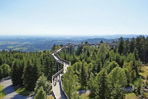 Гостиница Hotel Bayerischer Wald