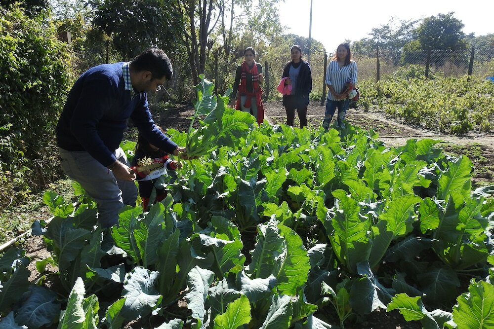 Фото Paatlidun Safari Lodge
