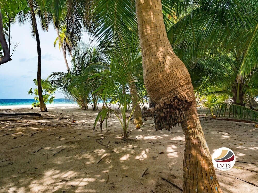 Фото Lvis Blancura