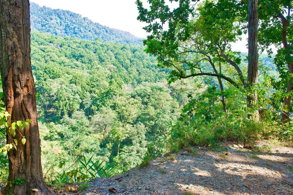 Фото Paatlidun Safari Lodge