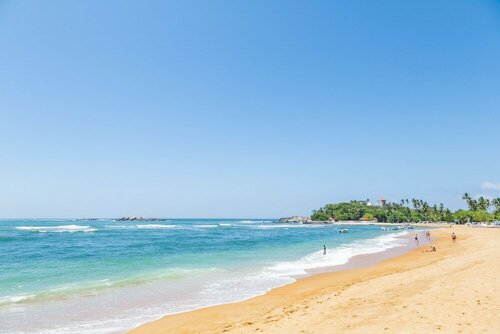 Гостиница Thambapanni Retreat