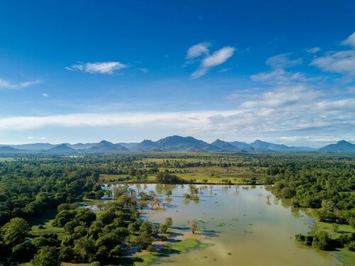 Внешний вид отеля Elephant Corridor в Сигирии, фото 4