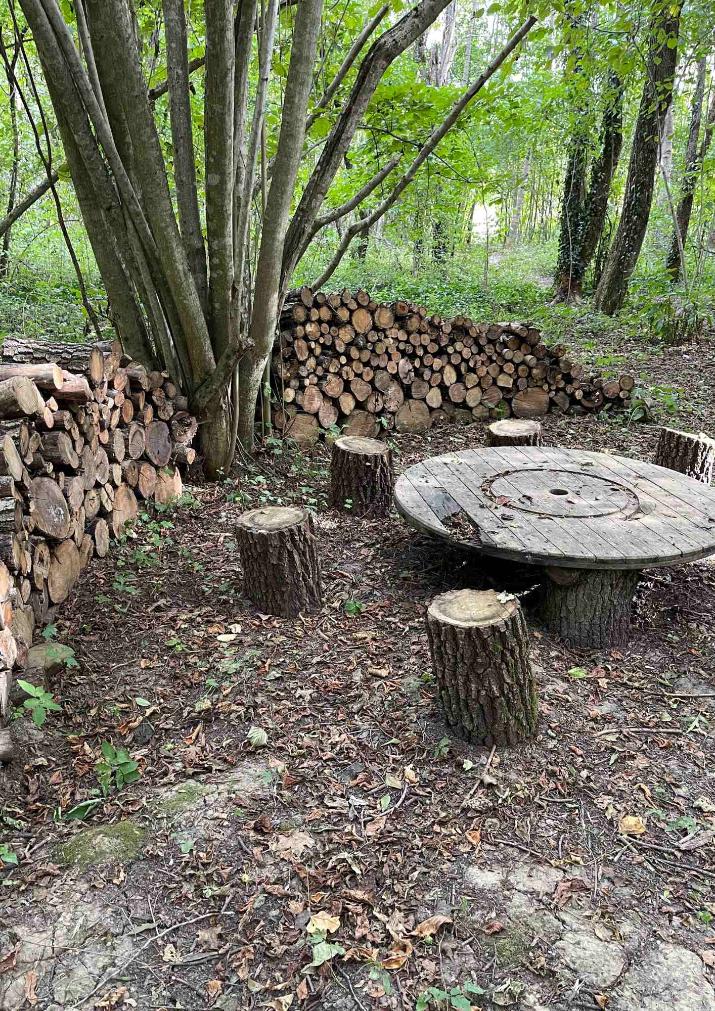 Фото Собер Дача