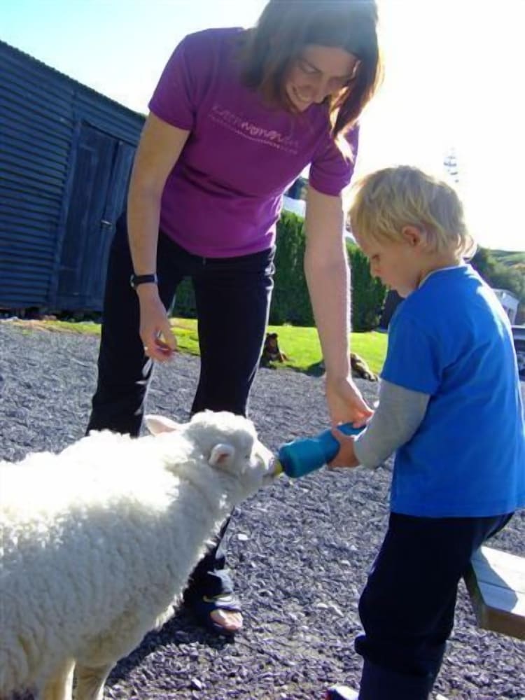 Фото The Point Bed & Breakfast