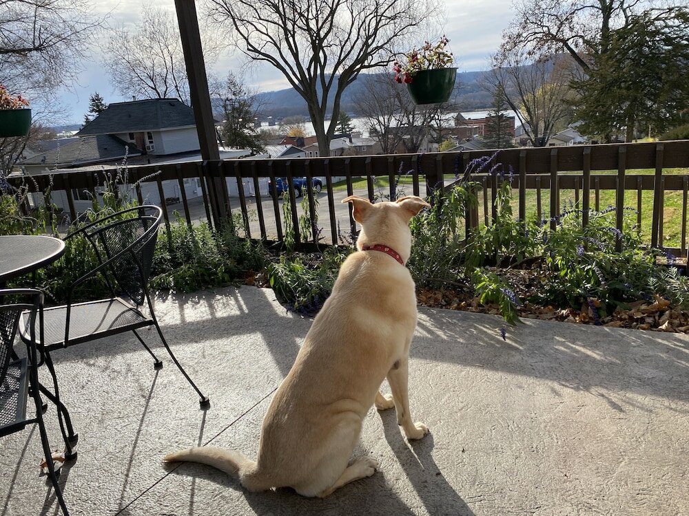 Фото Little Bluff Inn