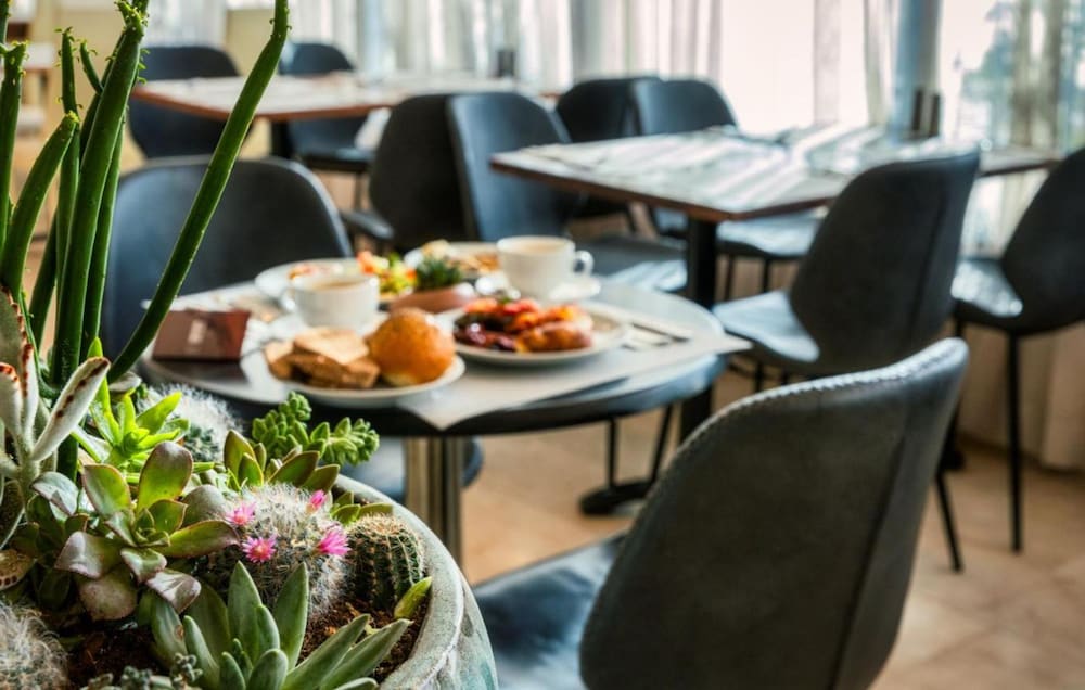 Фото Brown Red Sea