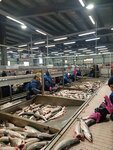 Ичафиш (Pobedy Avenue, 69), fish and seafood