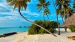 Tez Tour (Arkhangelsky Lane, 9), travel agency