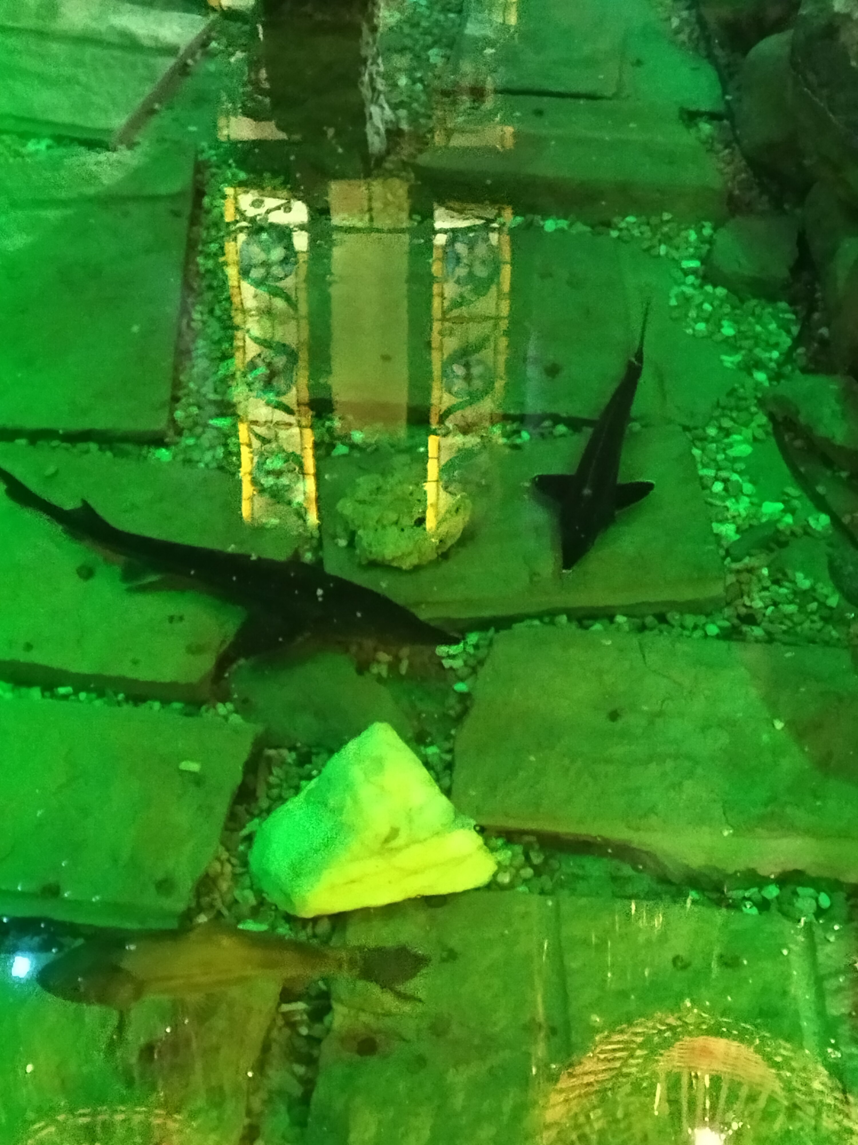 Фото Ингербургский