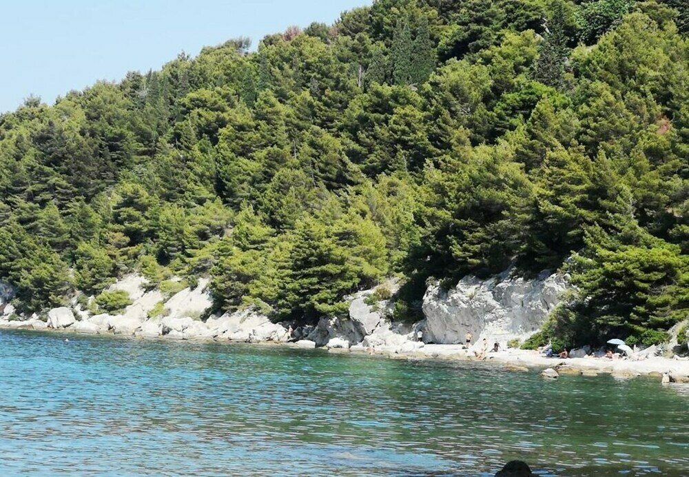 Фото Dragi - Great Location & Comfortable - Sa1