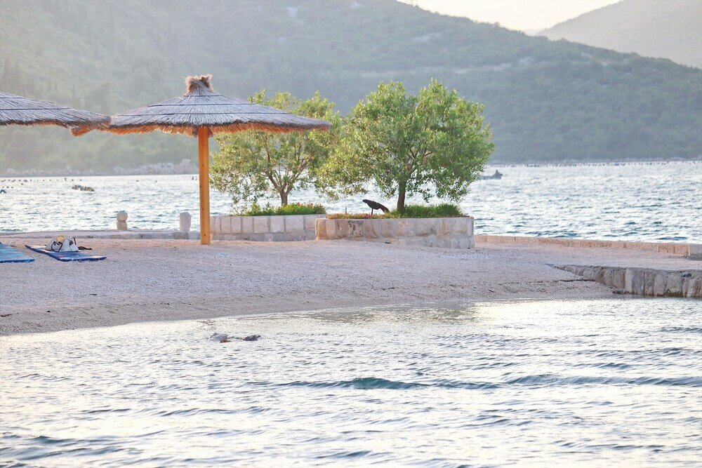 Фото Apartment Relax Ston