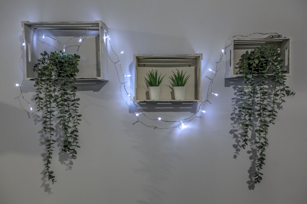 Фото Terra di Meteora Suites 3