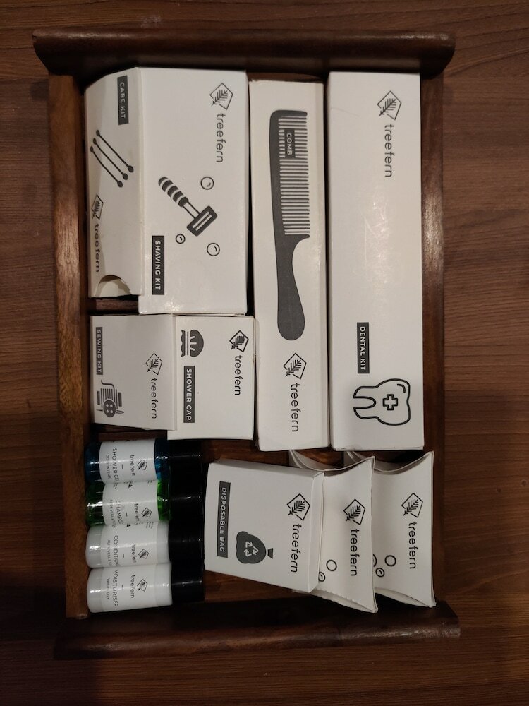 Фото Hotel Tree Fern