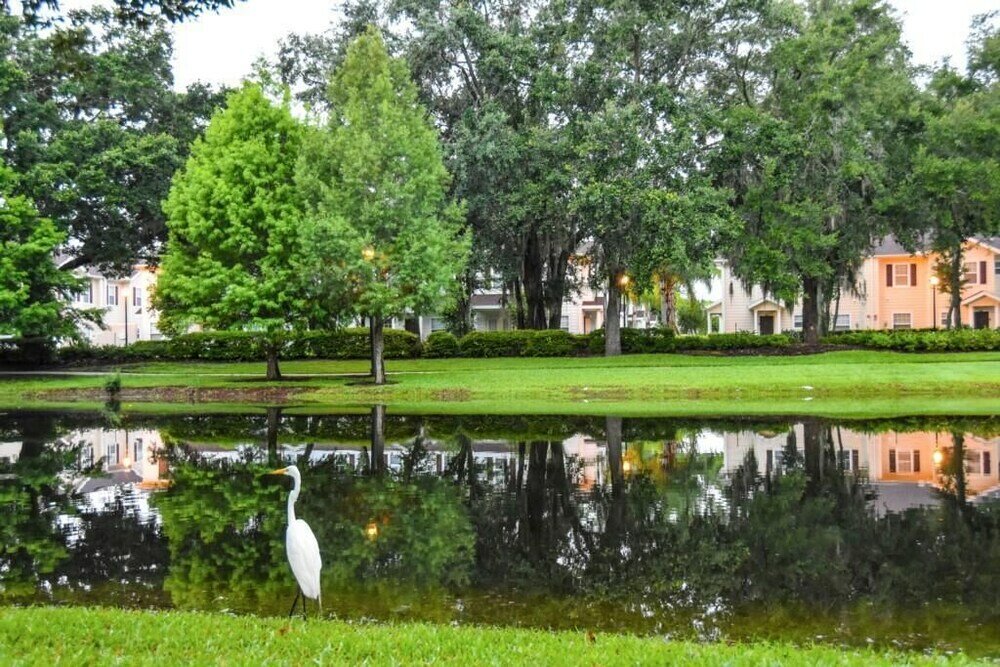 Фото Lucaya 3 Bedroom 2 Bath Townhome With Flat Screen TV