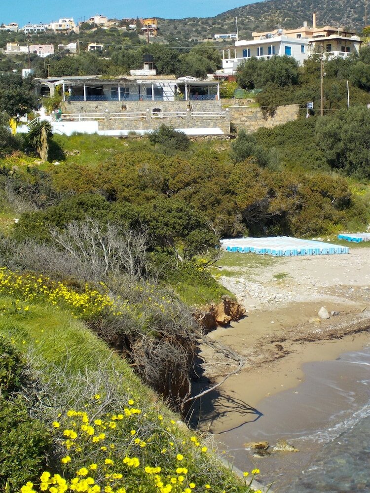 Фото Villa Phoebus