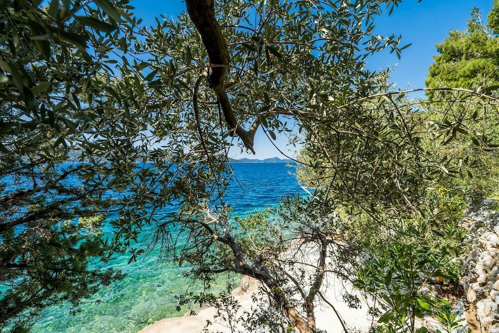 Фото Apartment Kia