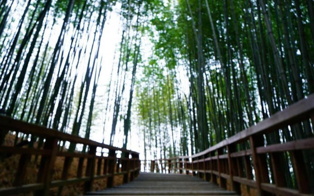 Фото Damyang Dambit Pension