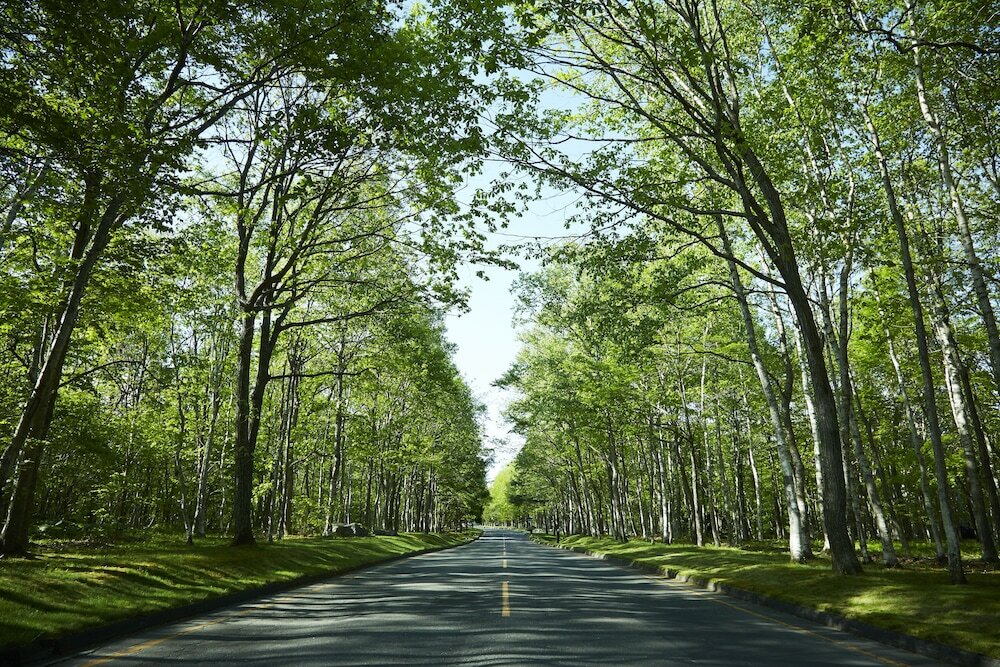 Фото Hotel Nidom