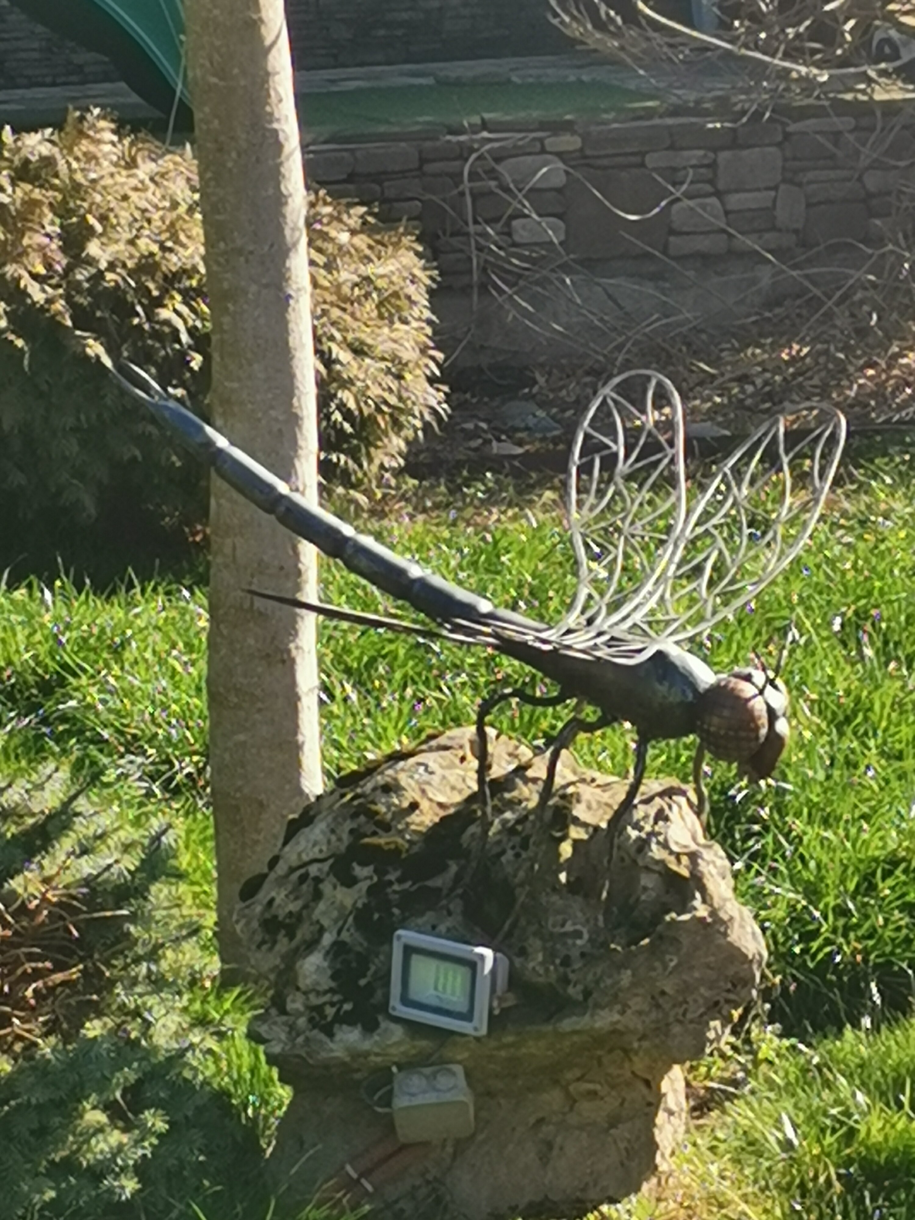 Фото Саксония