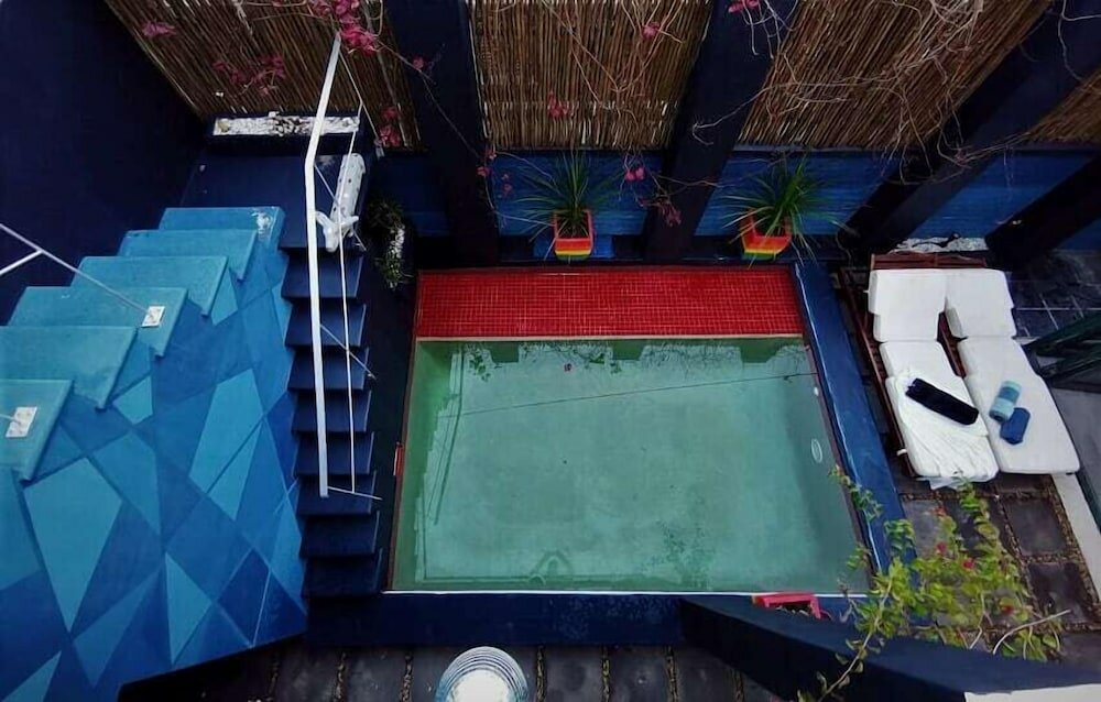 Фото Cactus House Gay Male Guesthouse - Adults Only