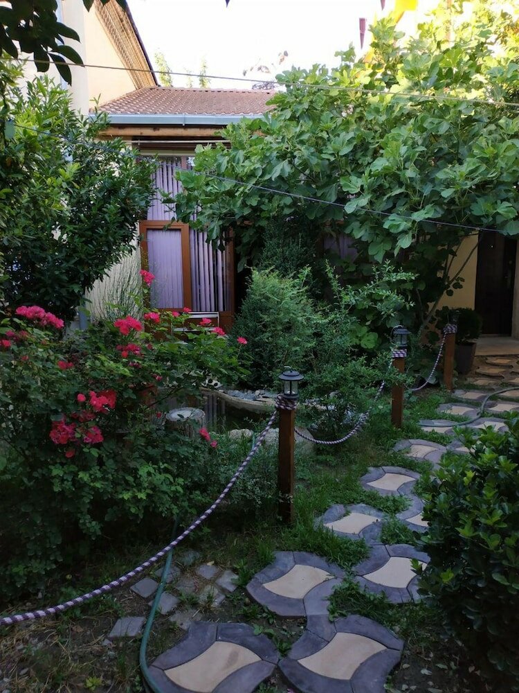 Фото Сим Сим