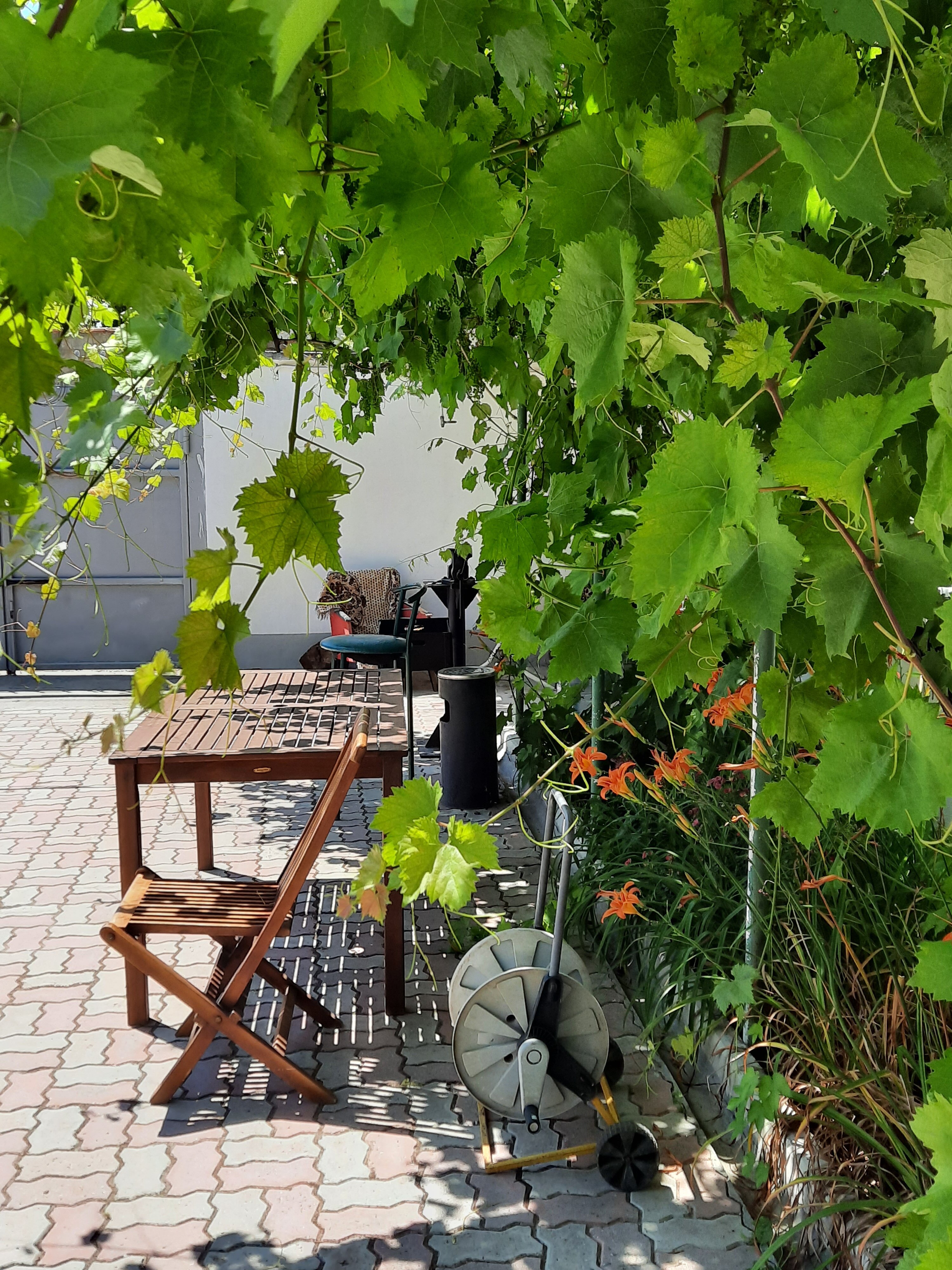 Фото Меридиана-2