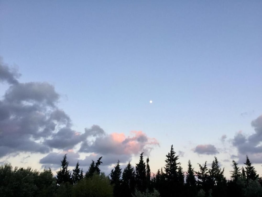 Фото Agriturismo Sogno Latino