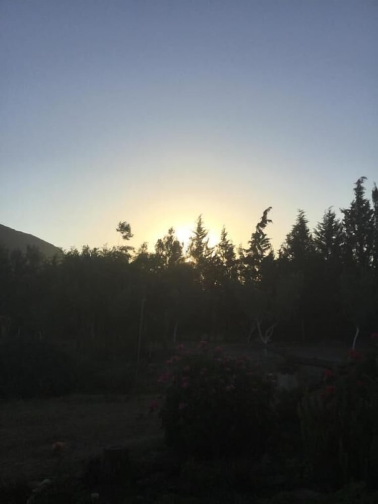 Фото Agriturismo Sogno Latino