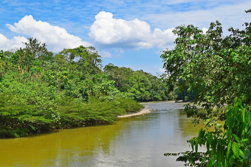 Фото Suchipakari Jungle Lodge