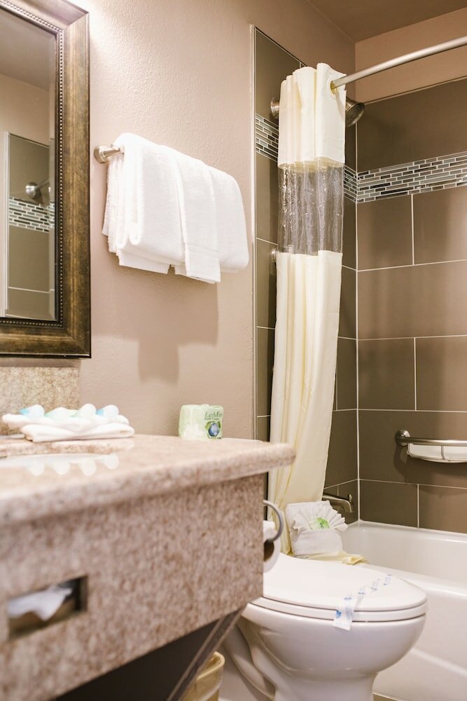 Фото Alamo Inn & Suites