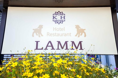 Гостиница Hotel Restaurant Lamm