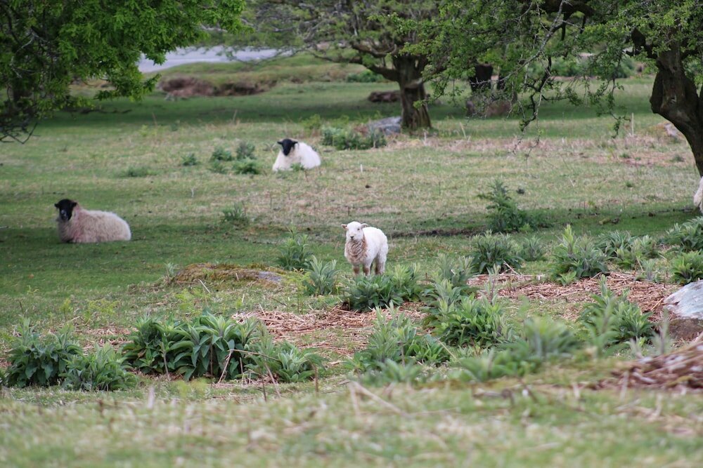 Фото The Moorland Hotel
