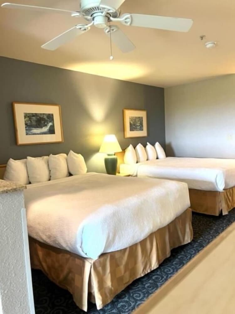 Фото Best Western Lighthouse Suites Inn