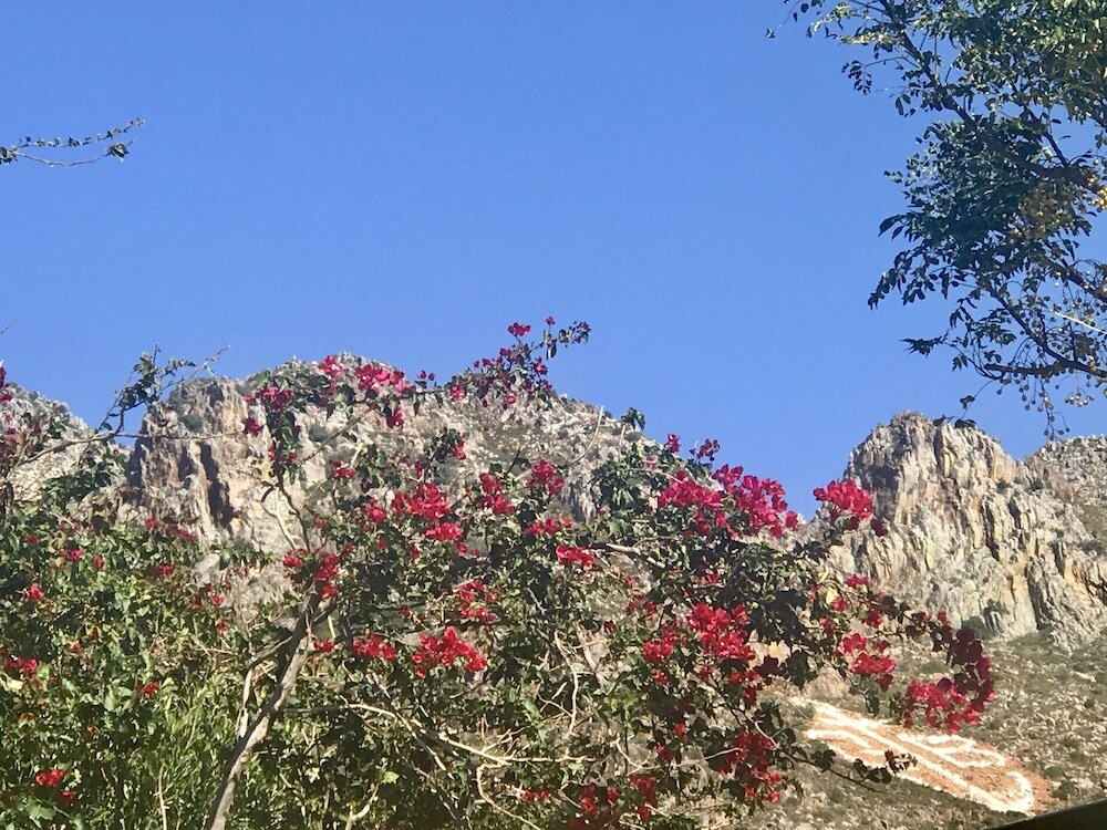 Фото Manor on the Bay