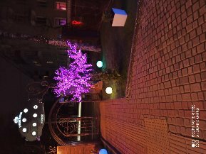 Фото Губернская