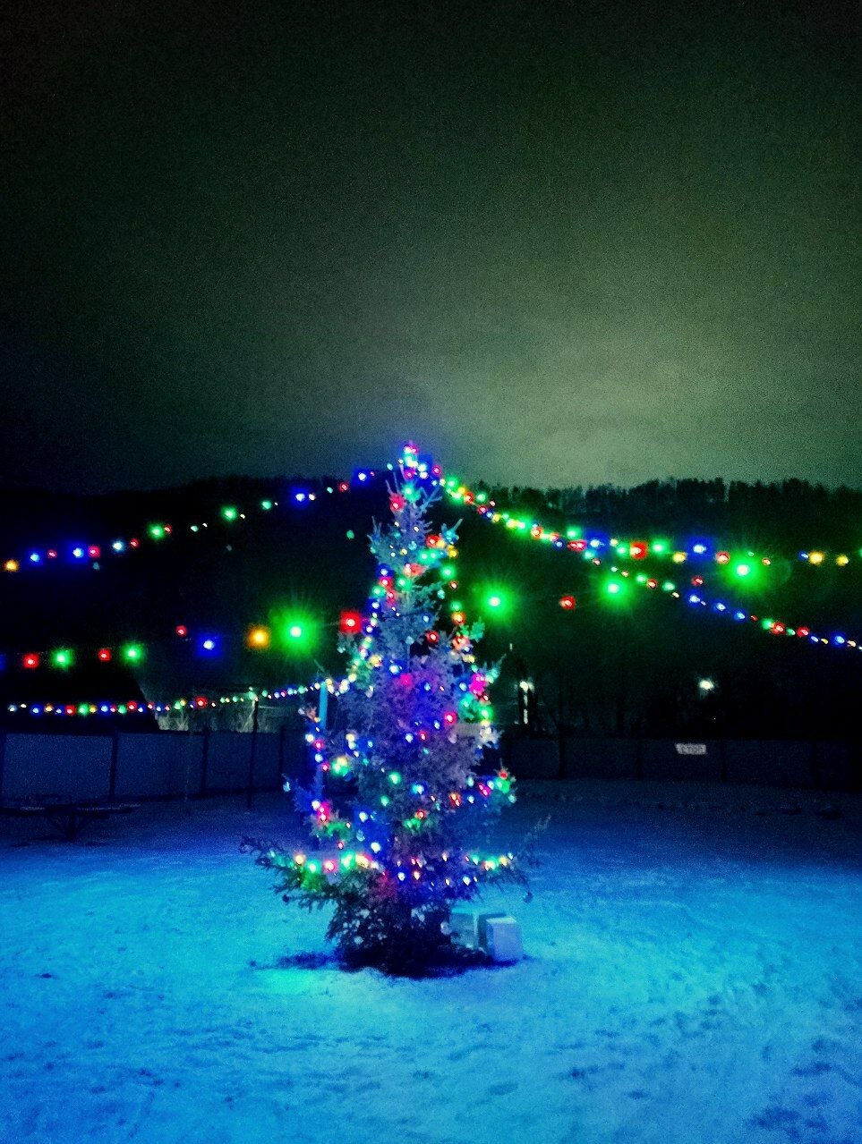 Фото Деревенька Алтая