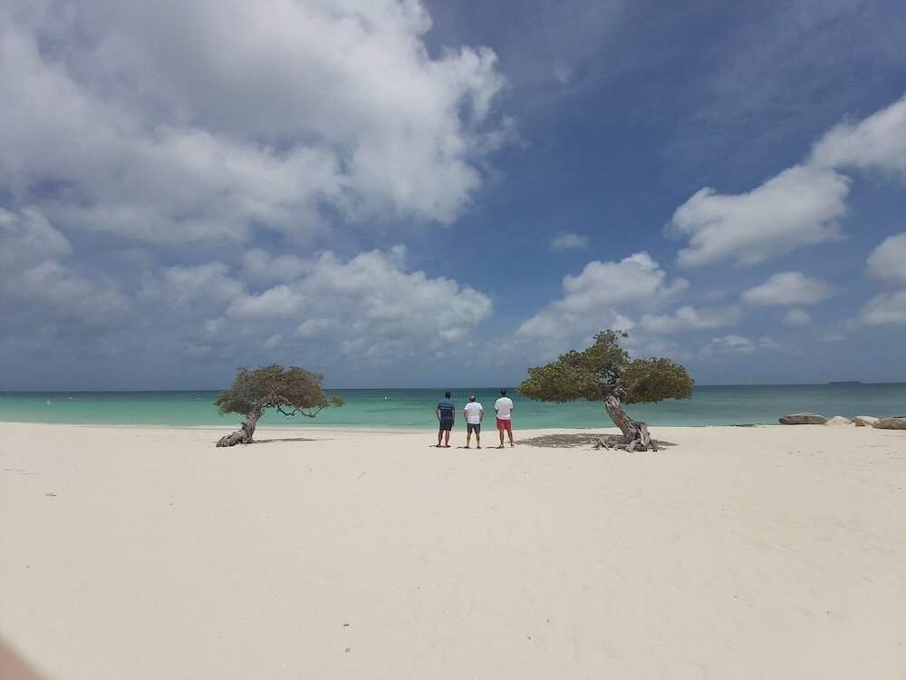 Фото Sasaki Apartments