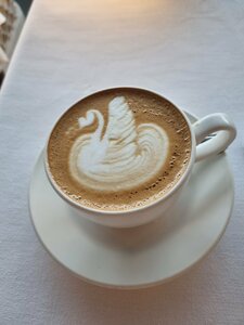 Novikov (Dubai Mall, Downtown Dubai, Dubai), cafe