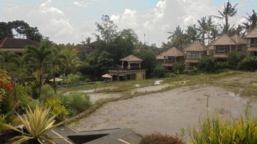 Фото 194778772671