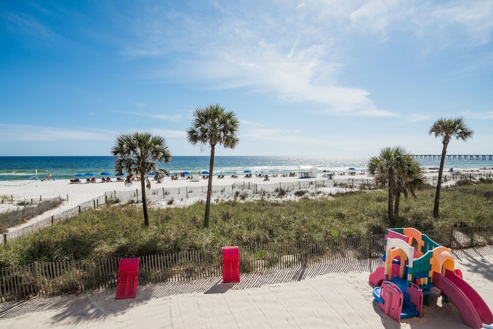 Фото Osprey on the Gulf