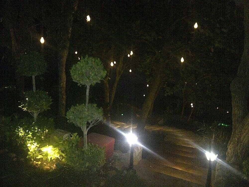 Фото Touchwood Resort Bhopal