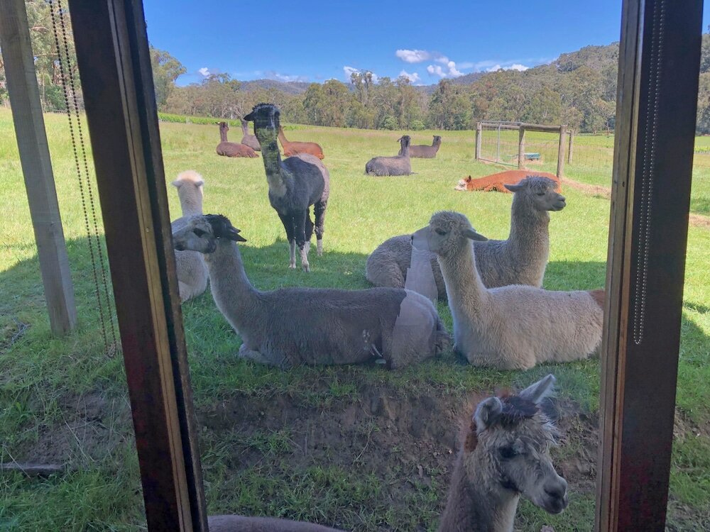 Фото Valley Farm Vineyard Cottages