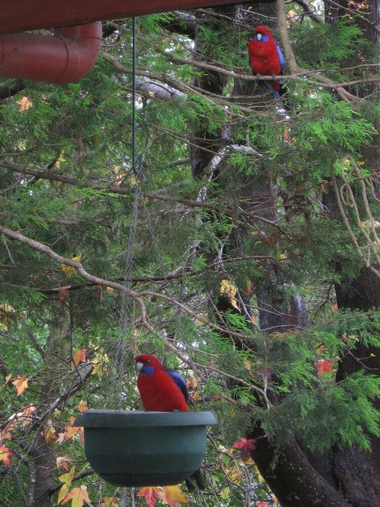 Фото Bowral Road Bed and Breakfast