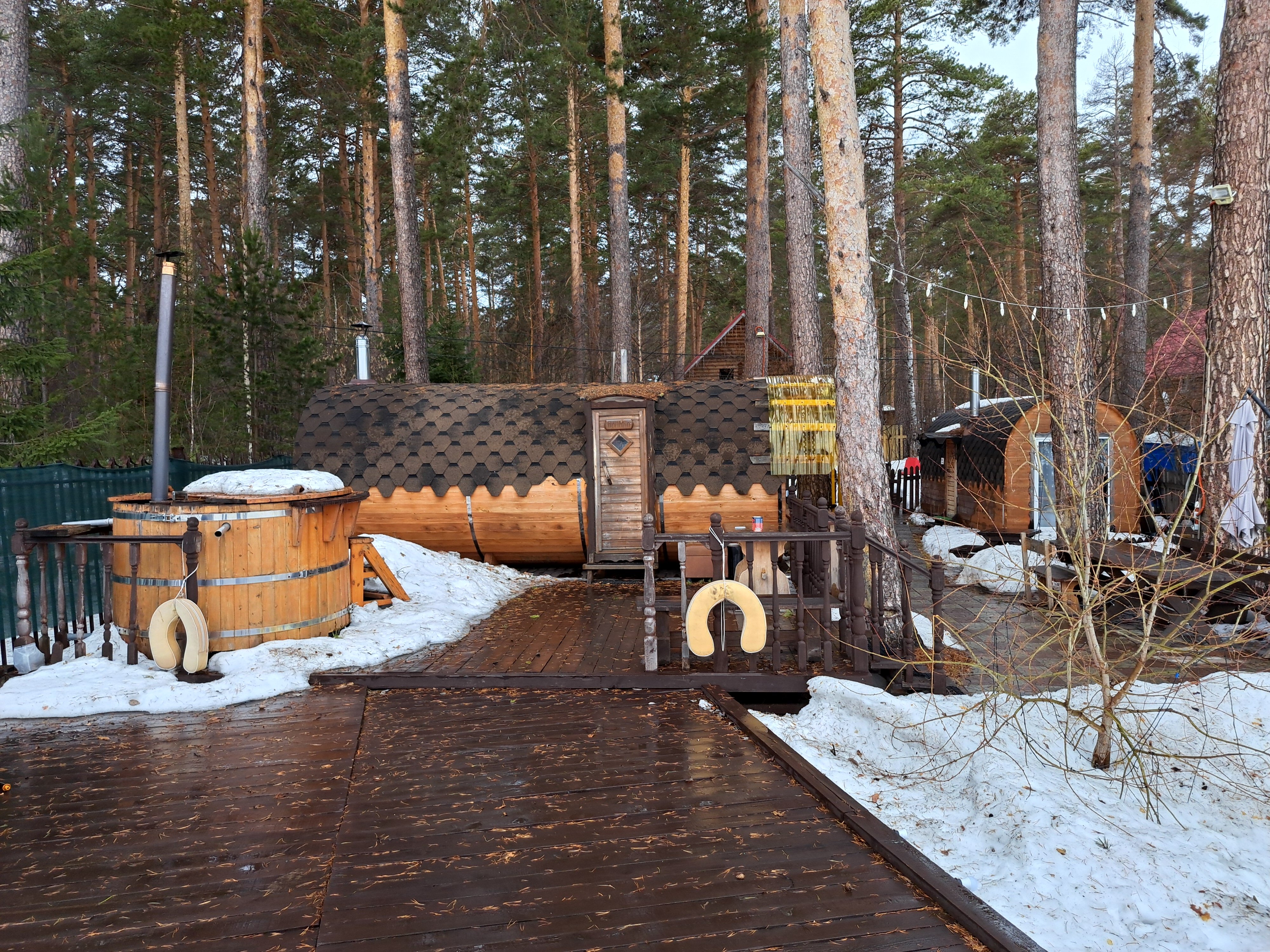 Фото Дача в соснах