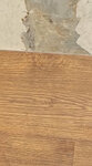 Сквирел (просп. Просвещения, 75, Санкт-Петербург), керамическая плитка в Санкт‑Петербурге